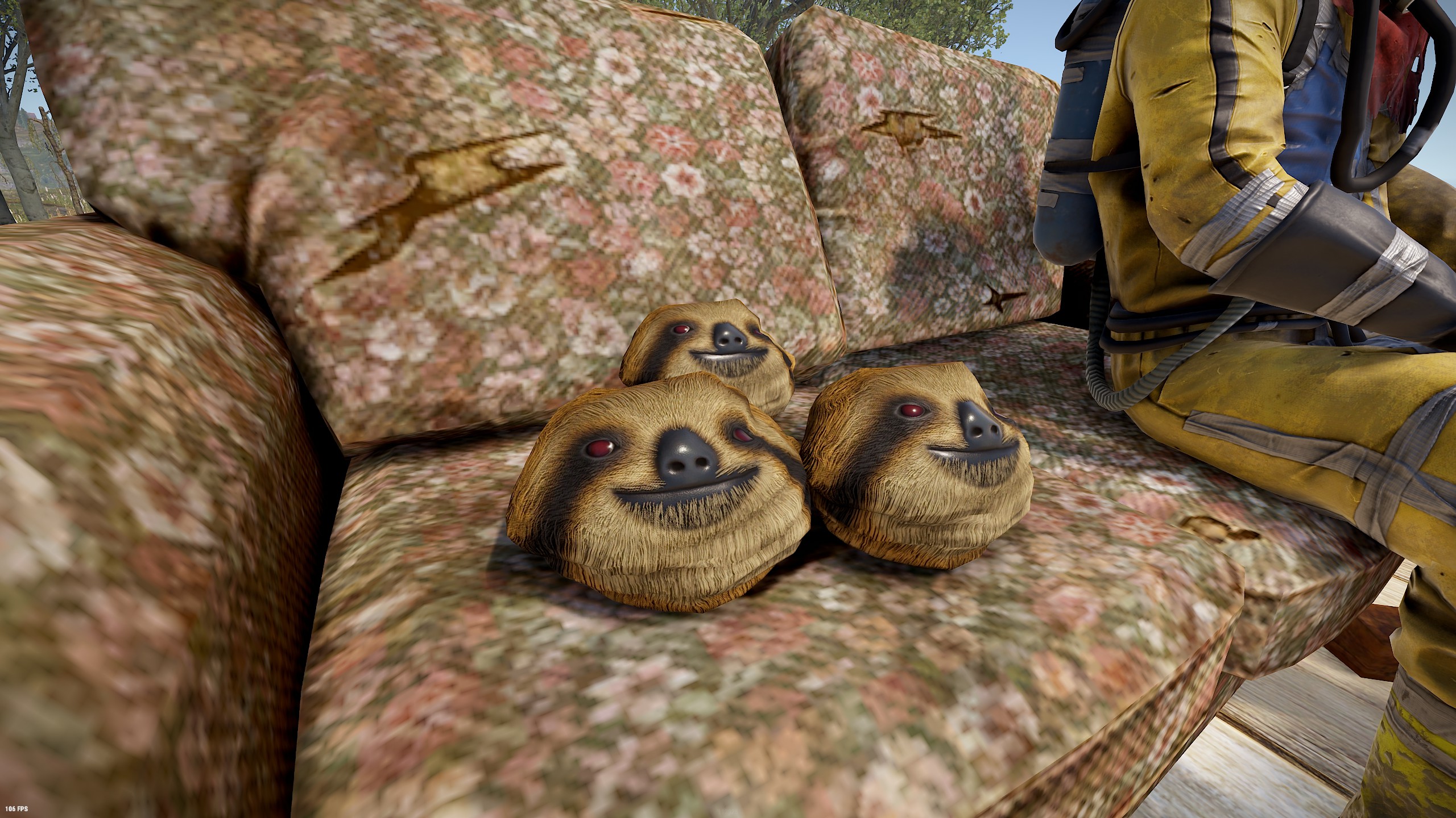 Sloth Rock