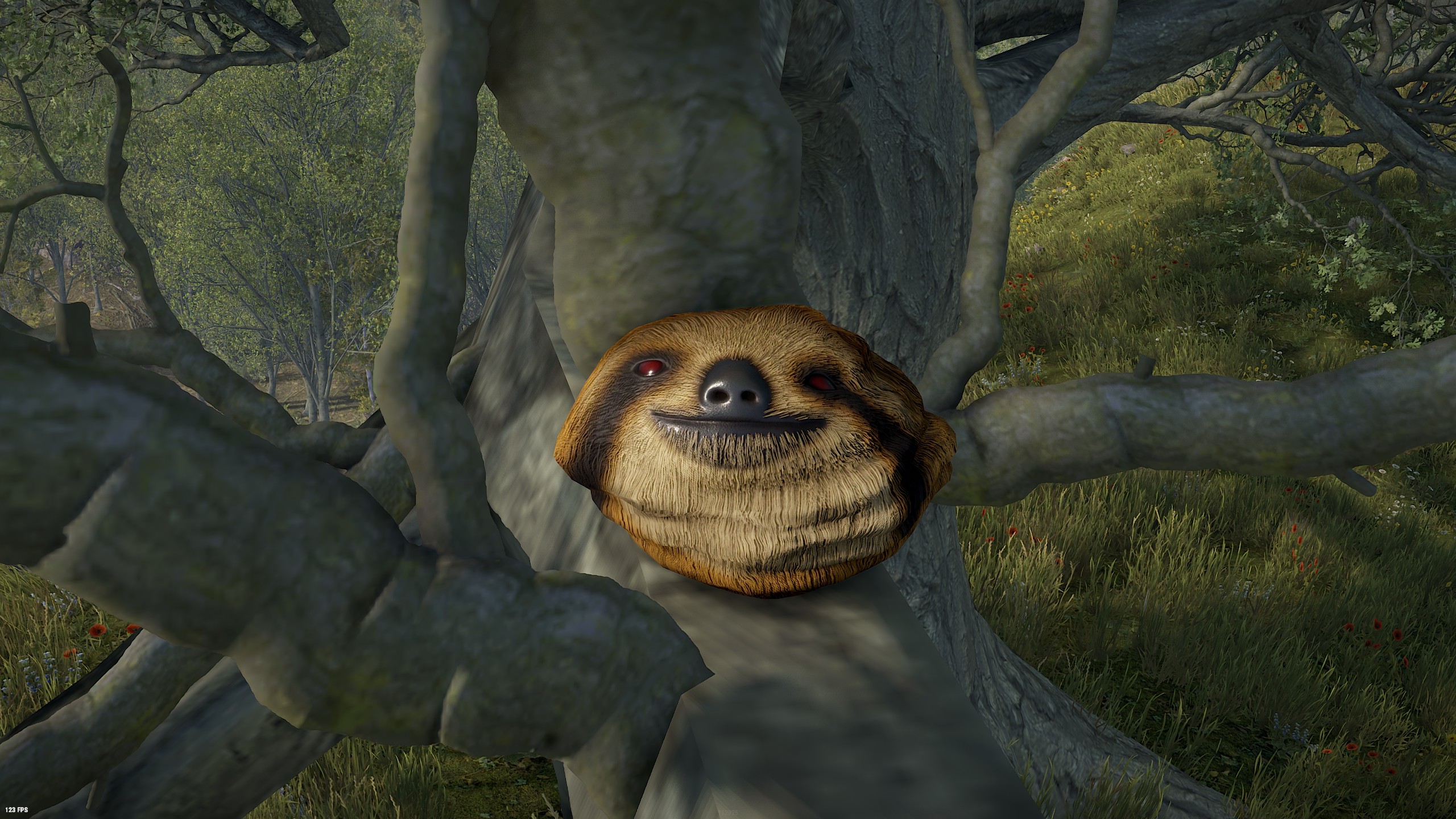 Sloth Rock