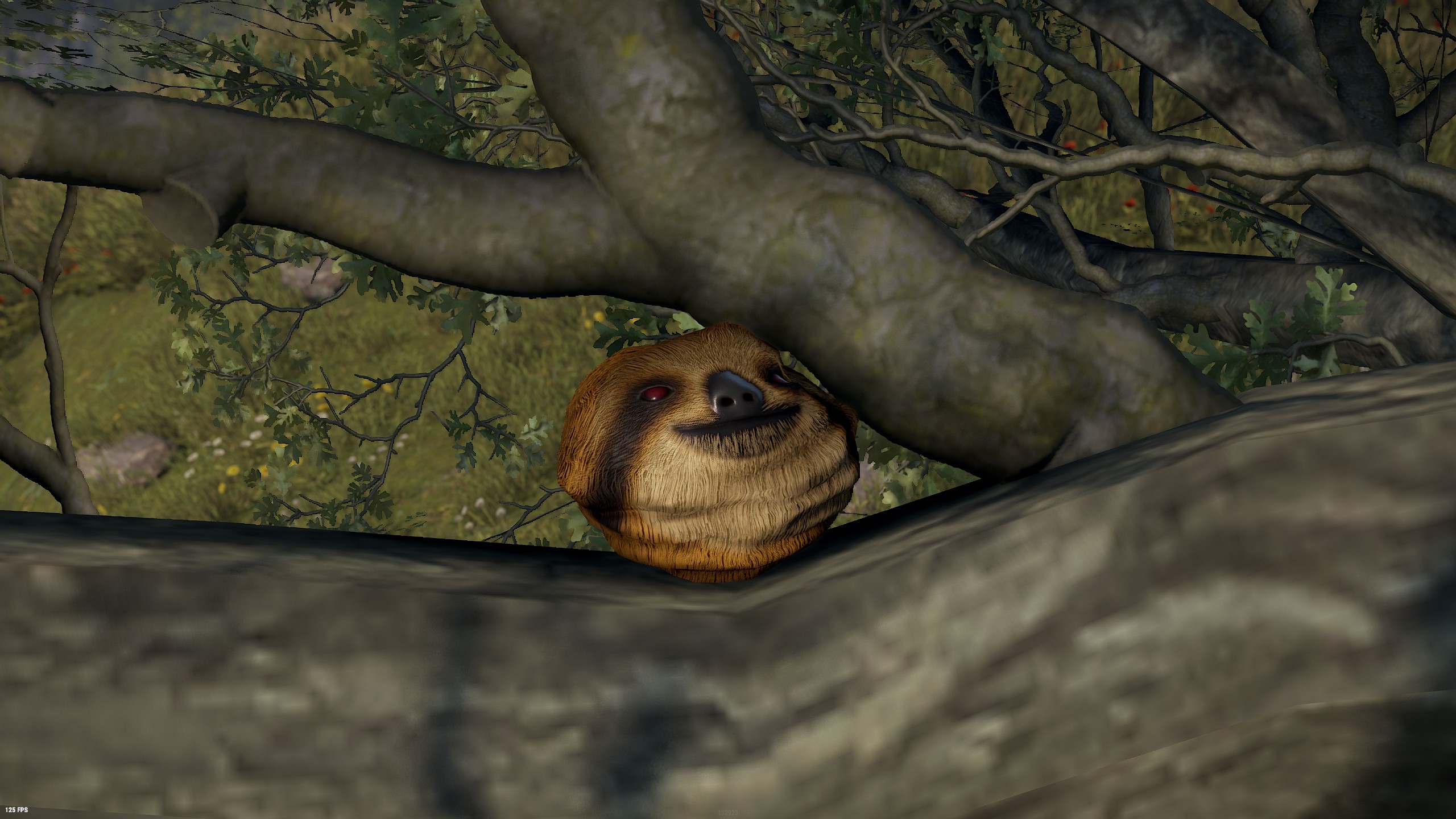Sloth Rock