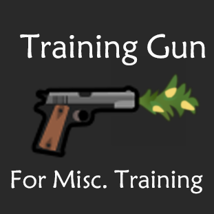Training Gun