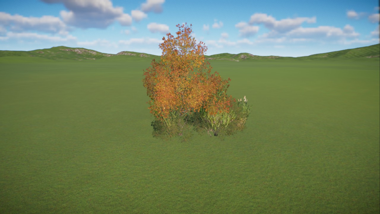 African Grassland 3