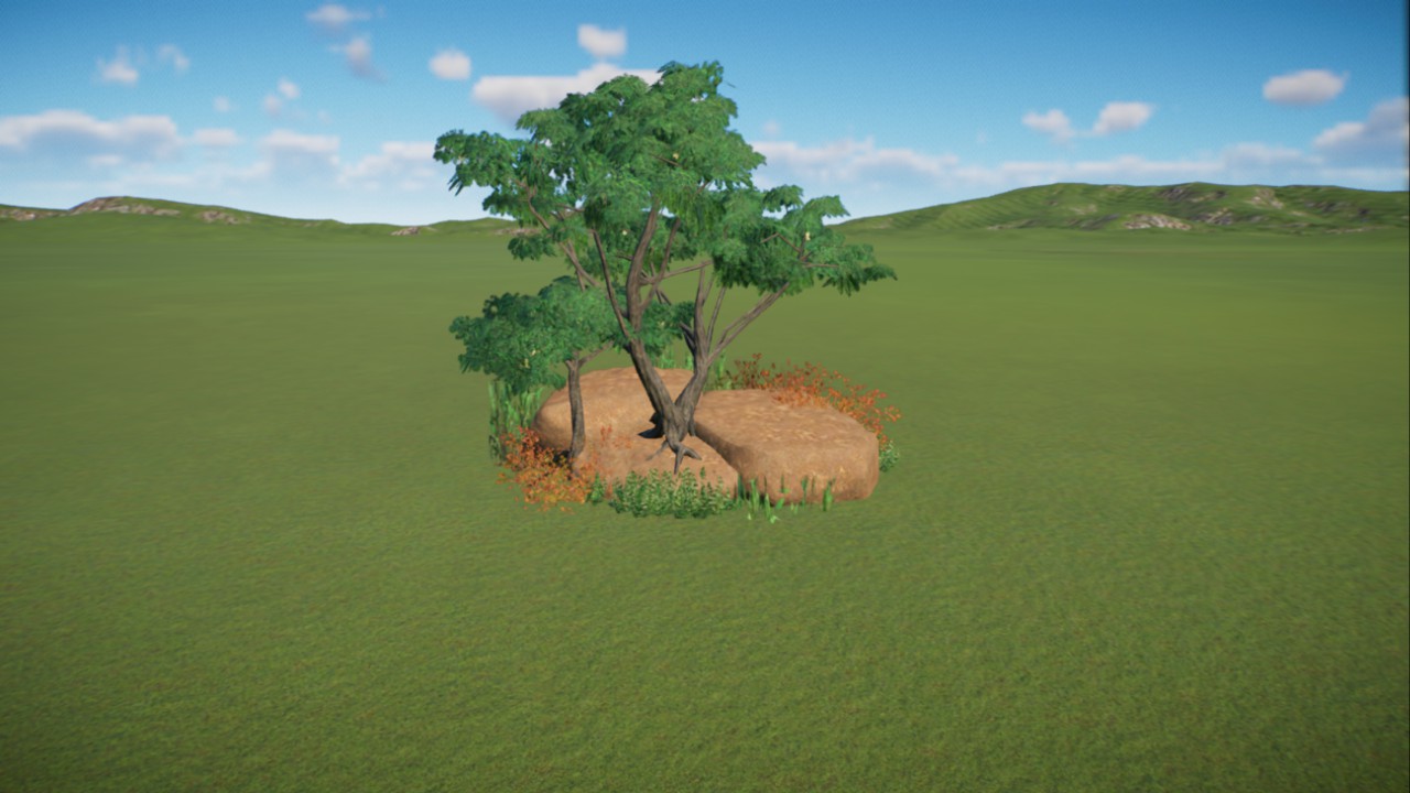 African Grassland 4