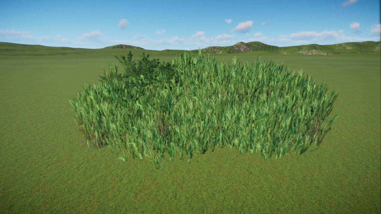 African Grassland 12
