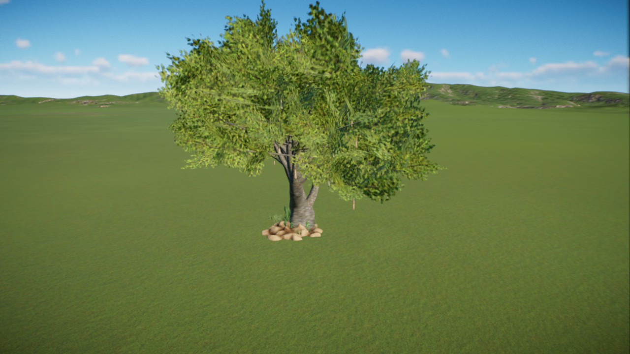 African Grassland 13