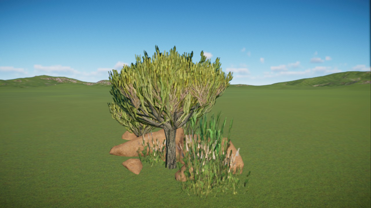 African Grassland 15