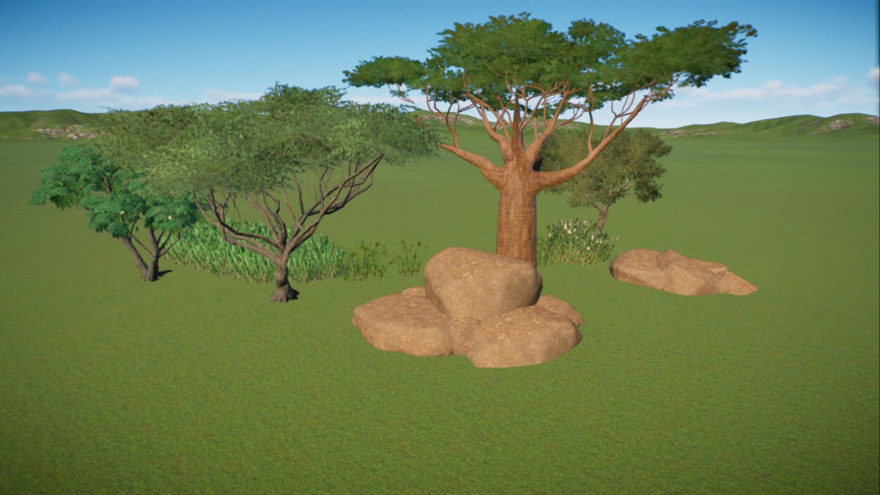 African Grassland 20