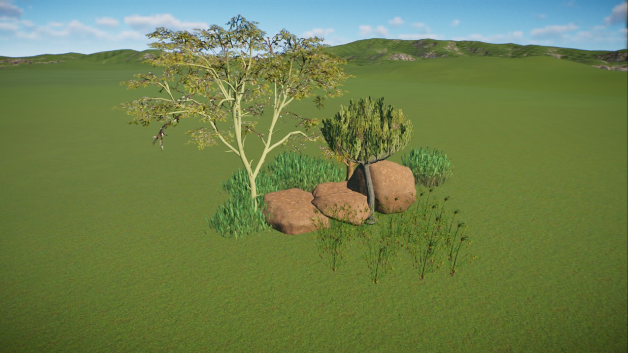 African Grassland 21