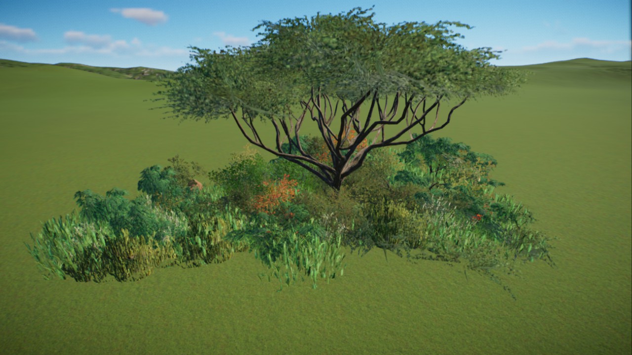 African Grassland 23