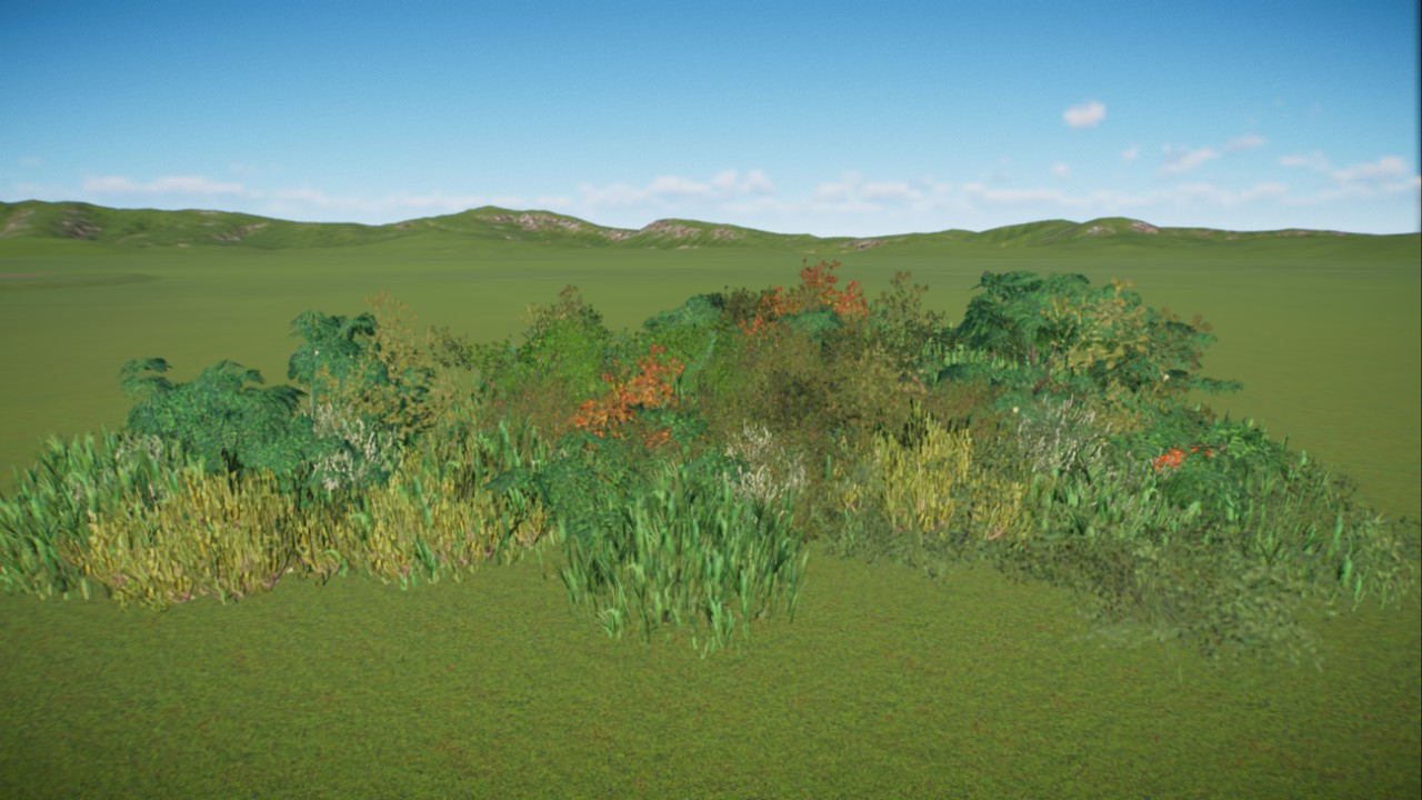 African Grassland 26