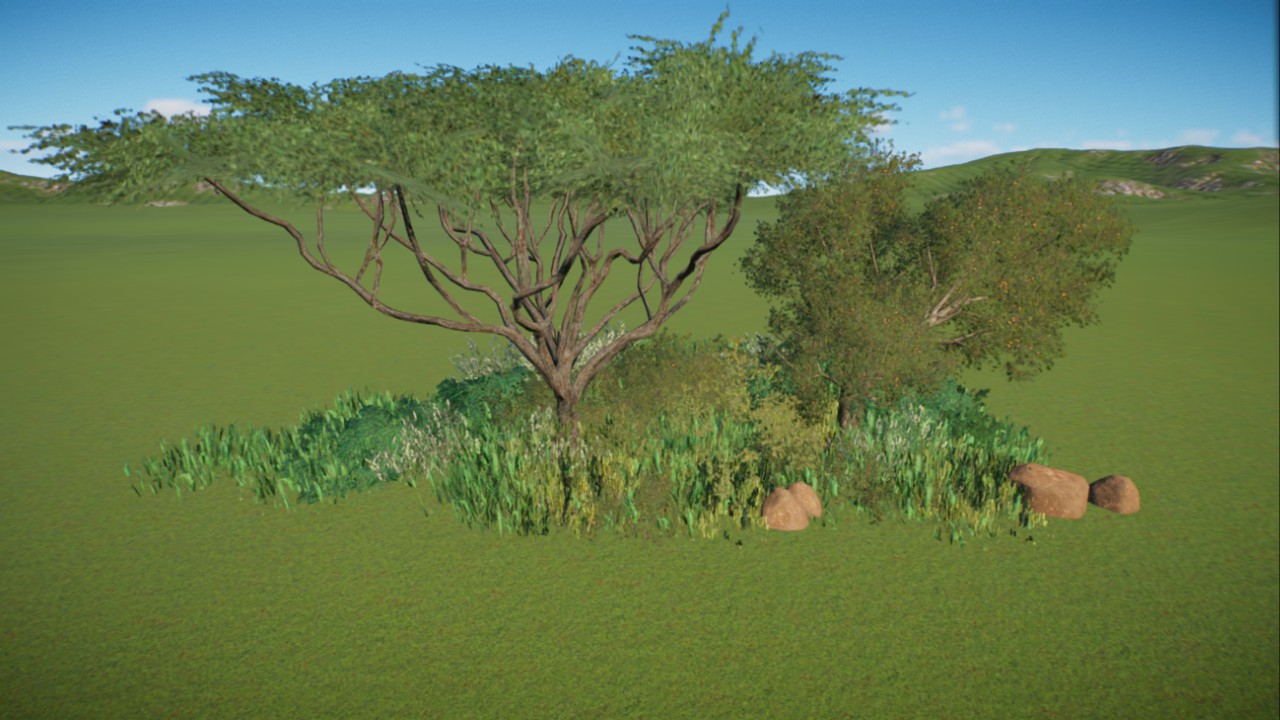African Grassland 28