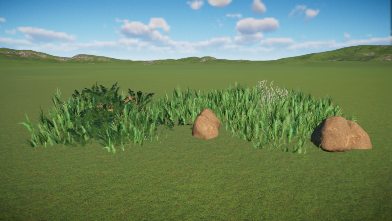 African Grassland 29