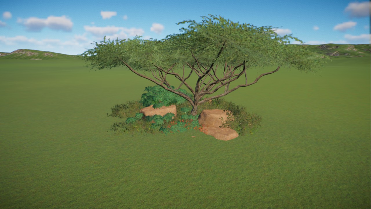 African Grassland 31