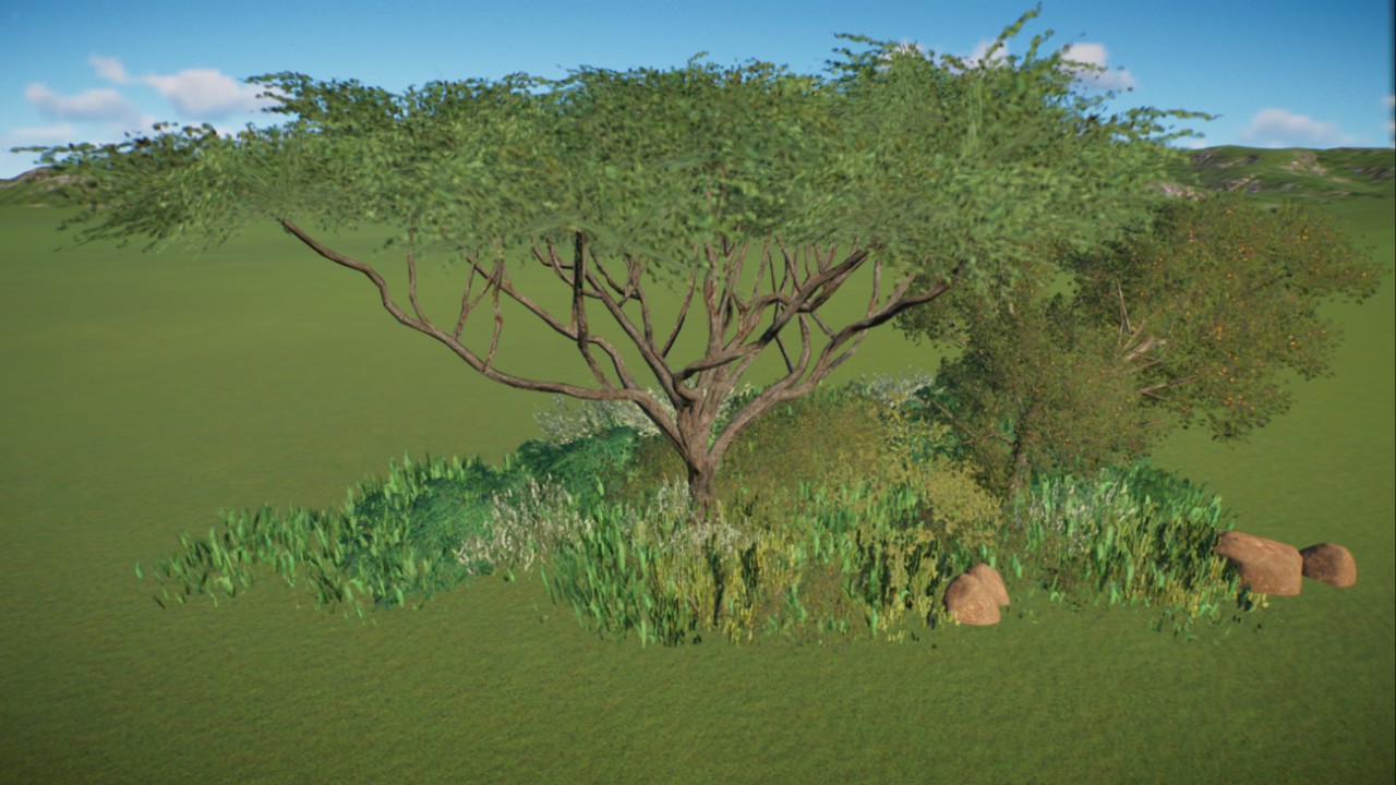 African Grassland 32