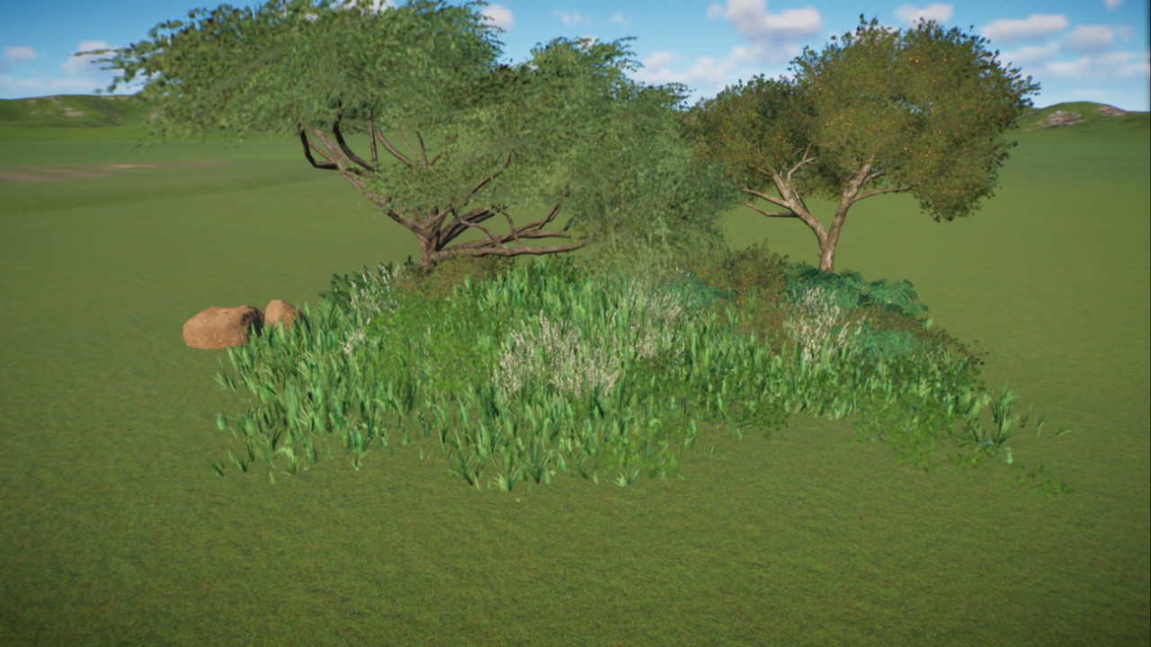Africa Grassland 33