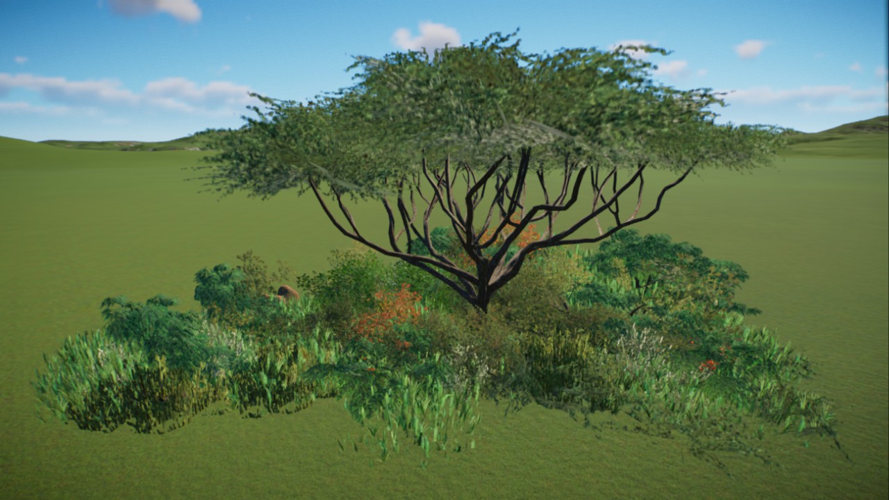 African Grassland 34