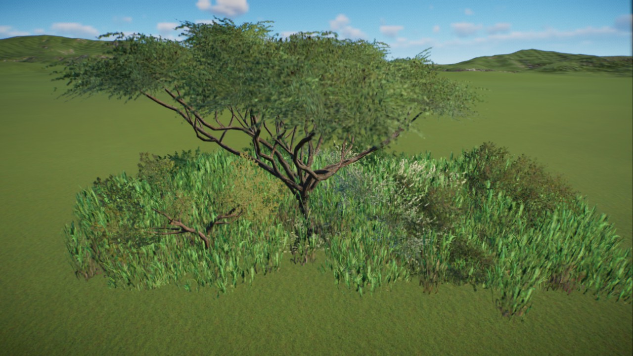 African Grassland 36