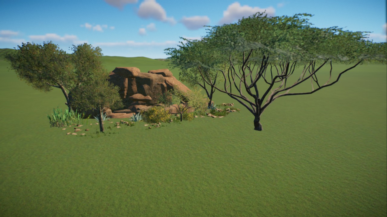 African Grassland 38