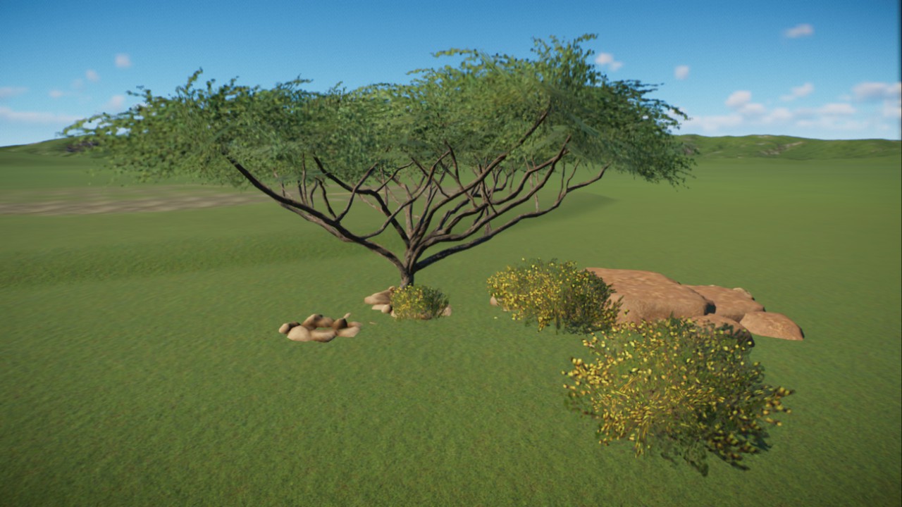 African Grassland 39