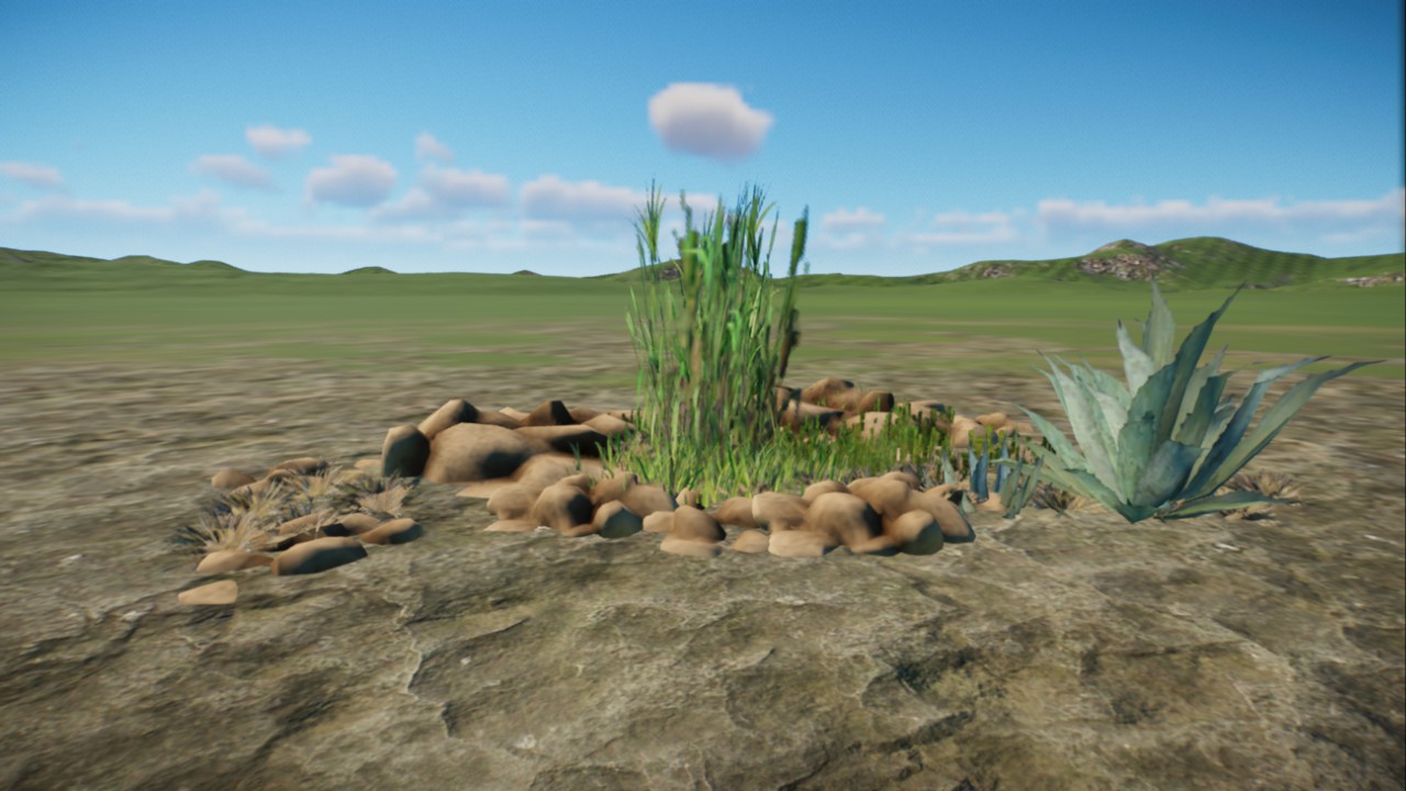 African Grassland 40