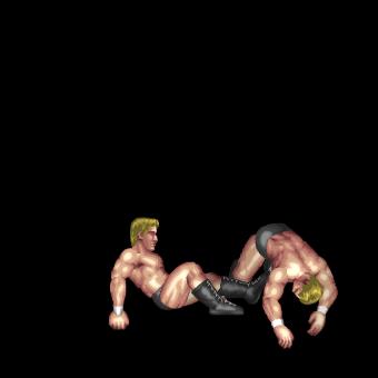 Rope Front Dropkick