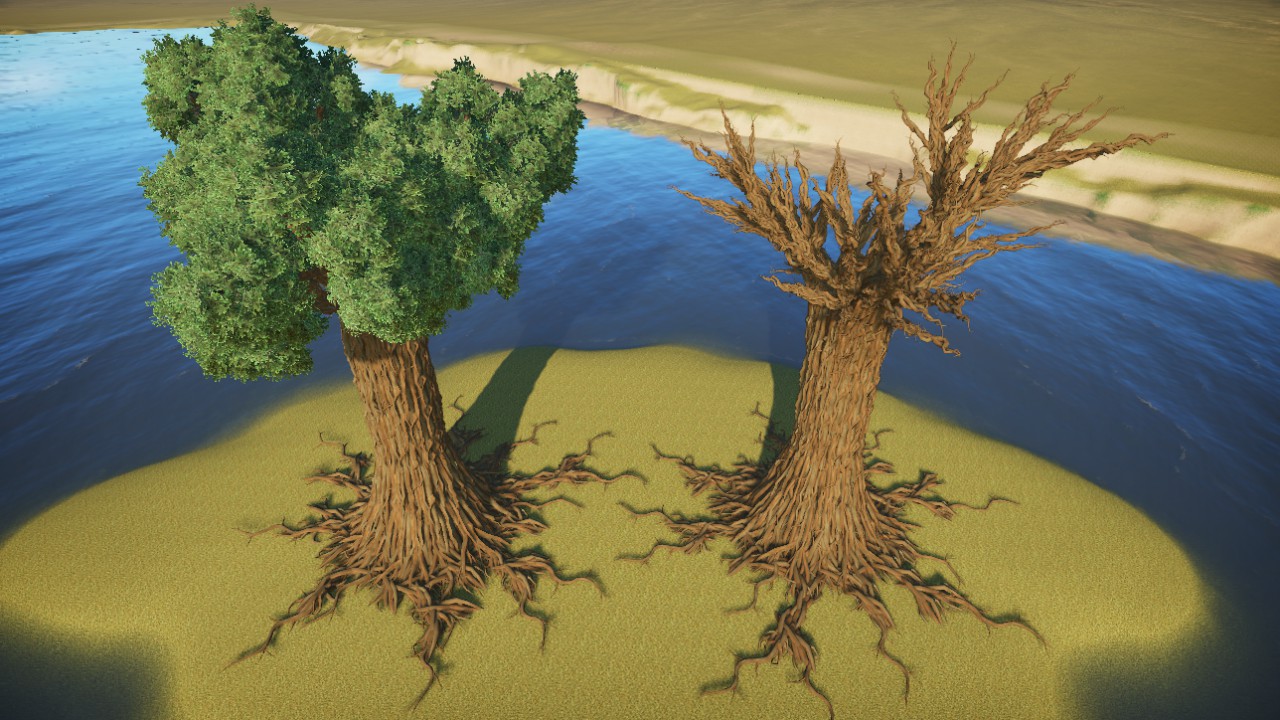 Giant trees /// Arbres géant