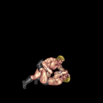 Powerbomb and Knuckle Arrow