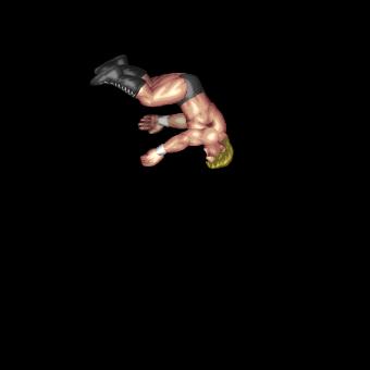 High Backflip