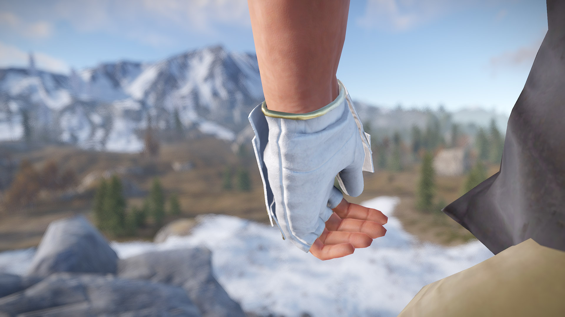Thundergold Roadsign Gloves