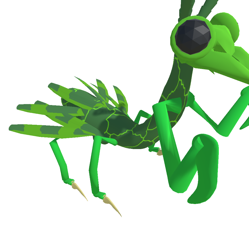 mantis