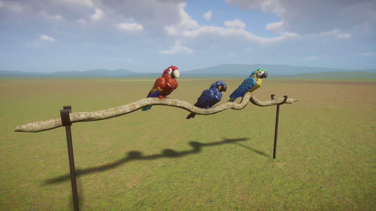 Macaw Pack