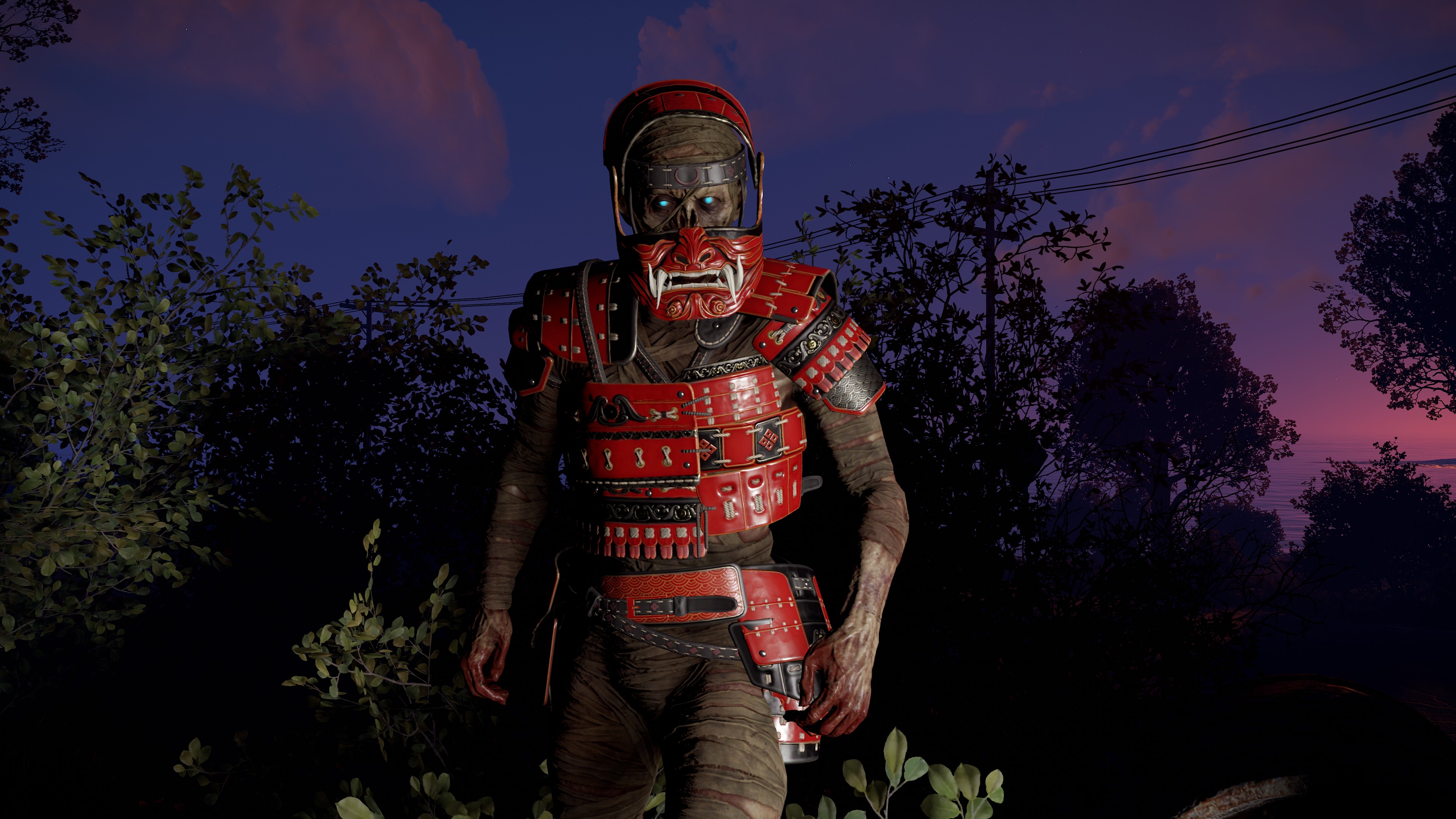 Ronin Vest