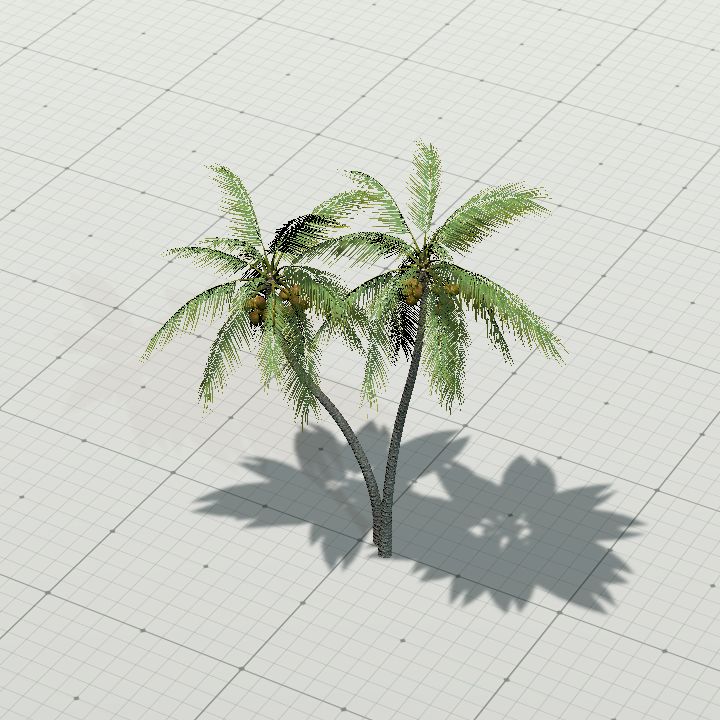Palm tree 1