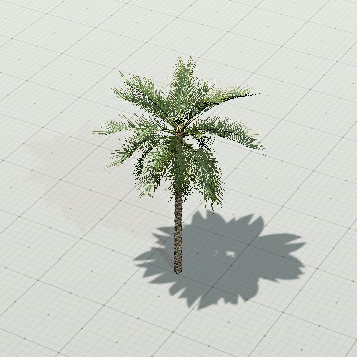Palm tree 2
