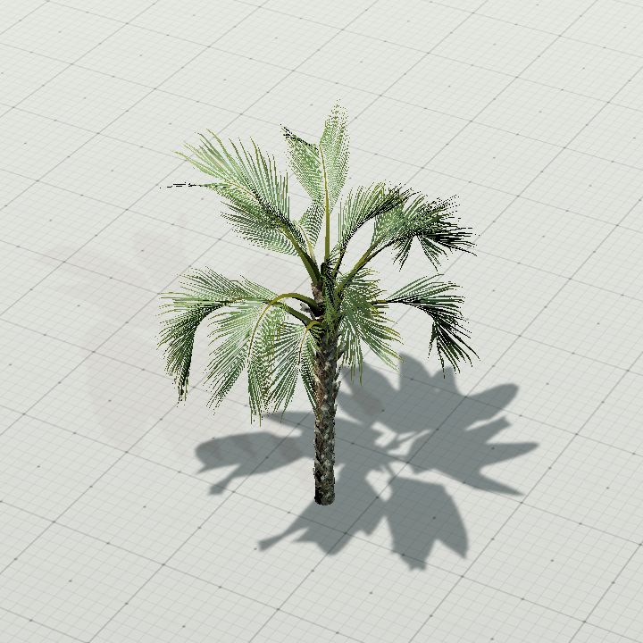 Palm tree 3