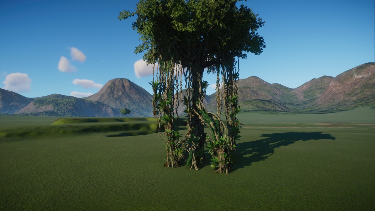Tree with lianas