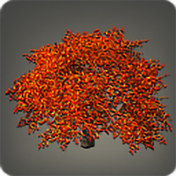 Autumnal Maple Tree