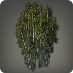 Bamboo Copse