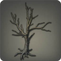 Coldbare Tree