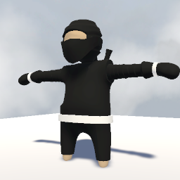 NINJA