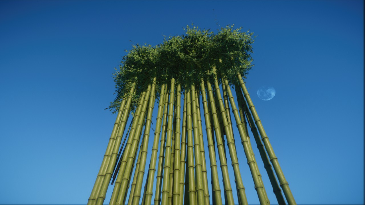 Giant Bamboo by ZSHplays