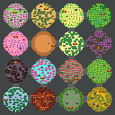 16 Circles of Human Biomes