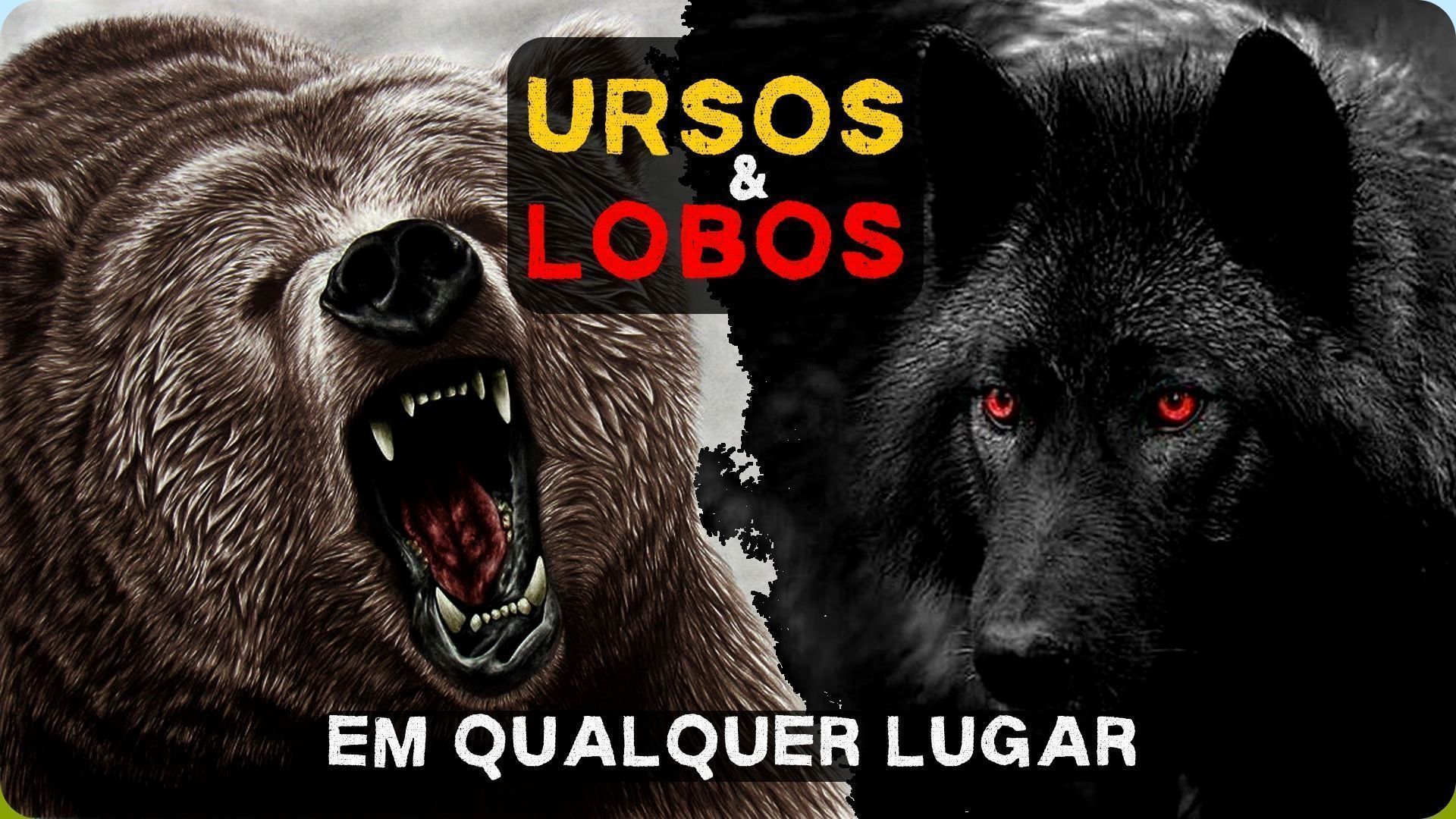 Bear and Wolfs Anywhere