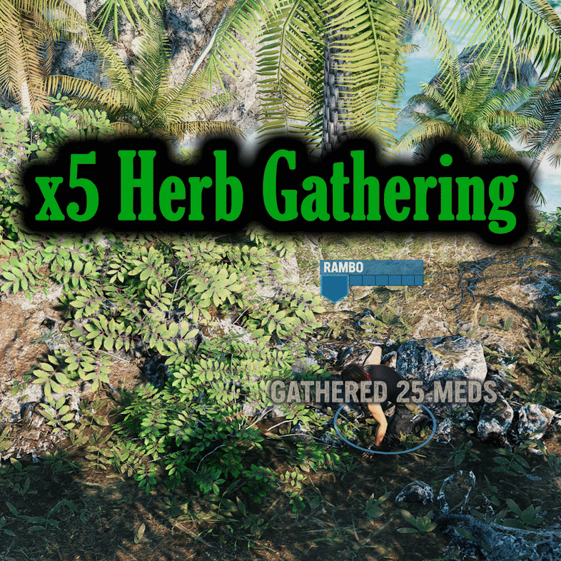 x5 Herb Gathering