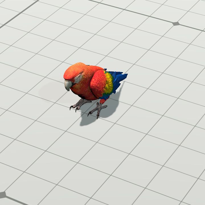 Parrot, Red