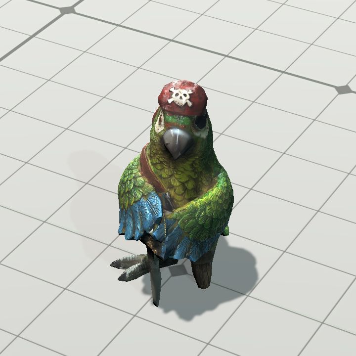 Parrot Pirate