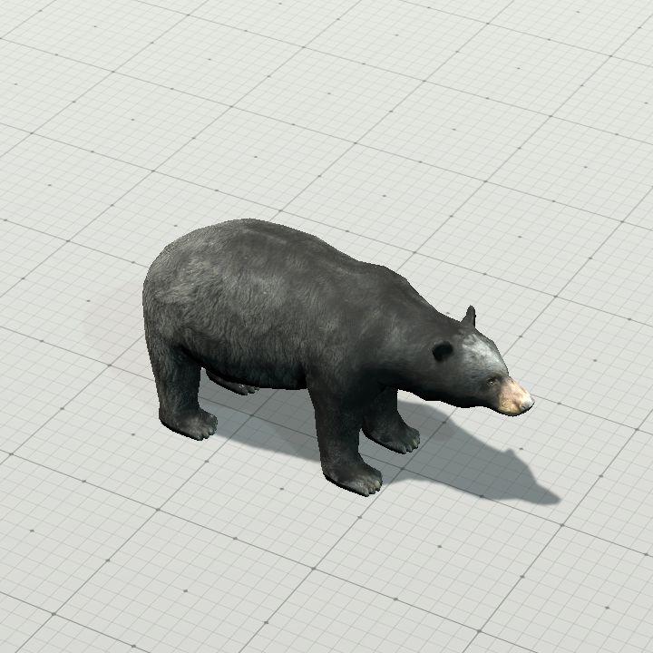Bear, Black {Animated}