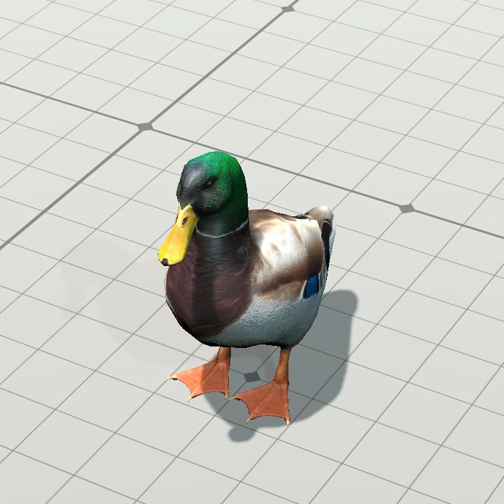 Duck, Mallard (Male) {Animated}