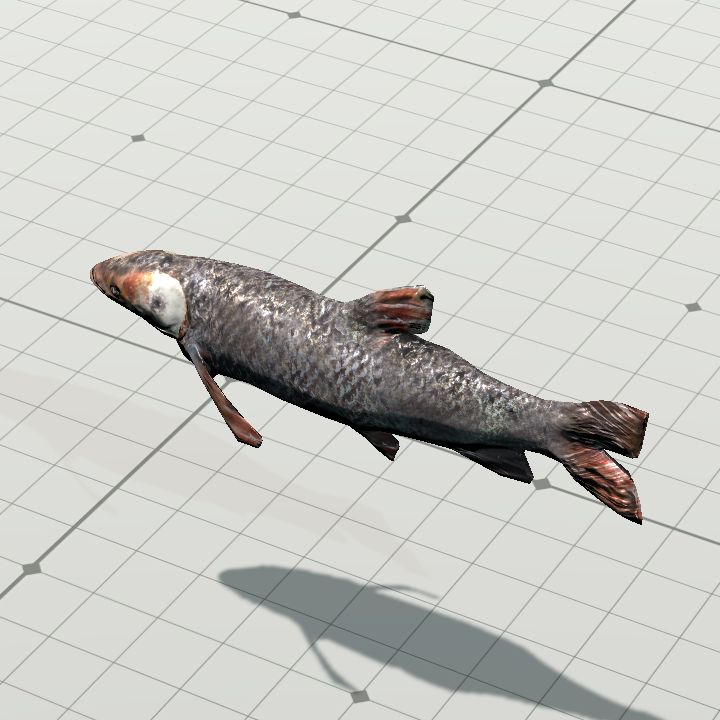 Fish, Generic {Animated}