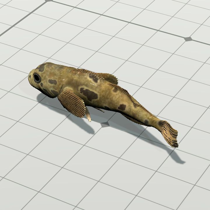Fish, Sculpin {Animated}