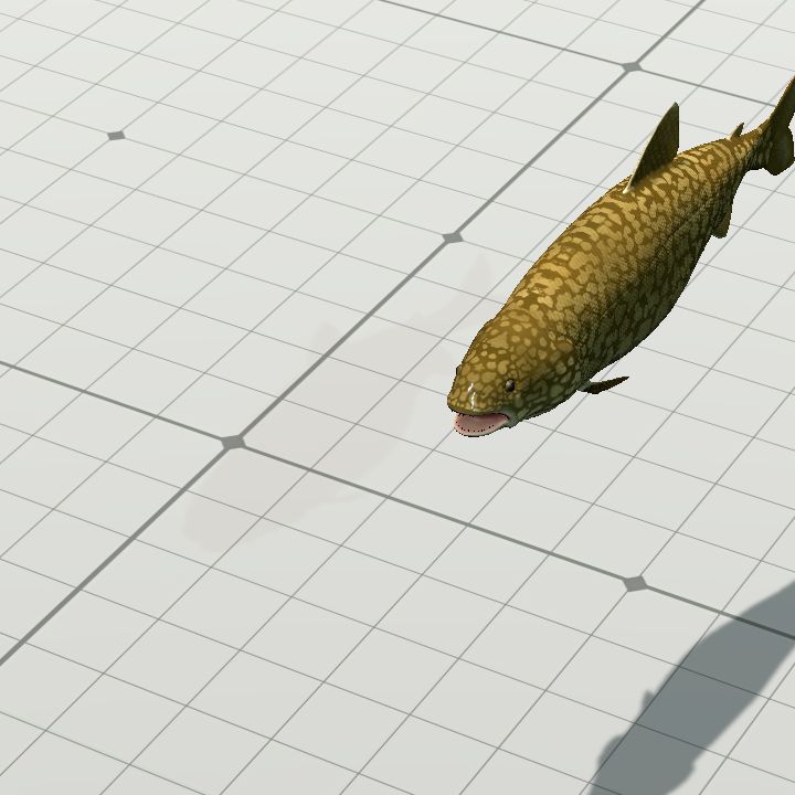 Fish, Lake Trout {Animated}